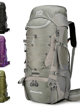 男女通用旅行背包双肩包老人灰色户外徒步包大容量拉链登山包75L