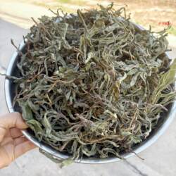 曲麻菜干农家新鲜晒干曲曲菜苦苦菜带根整棵野生新货苦苣菜