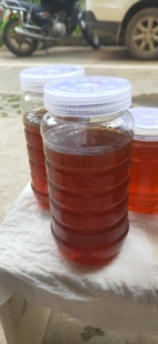 2025新蜜来自江西瑞金武夷山脉的纯天然乌桕百花蜜现取现售