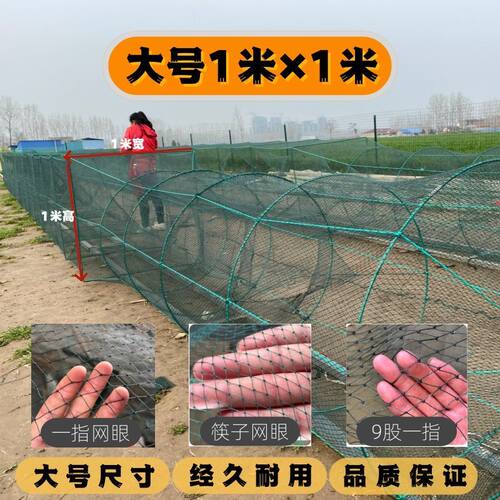 1米大号大框架网笼鱼笼有结折叠笼特大进口渔笼加粗加厚捕虾鱼网