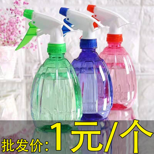浇花喷壶小洒水壶家用园艺喷水壶