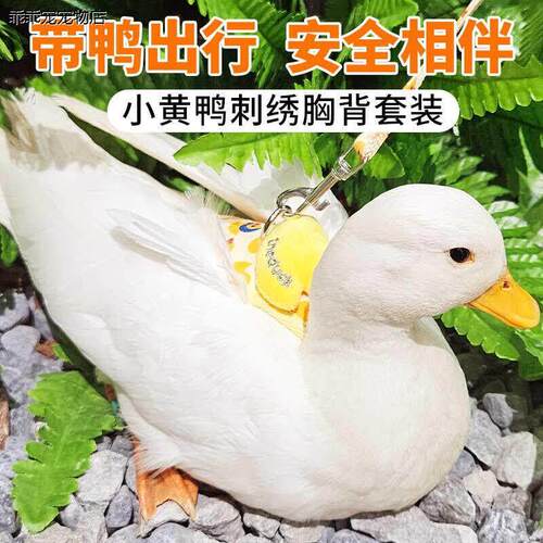 √柯尔鸭牵引绳猫绳胸背