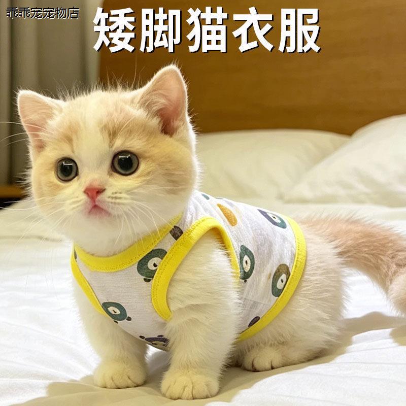 √矮脚猫衣服专用拿破仑图片