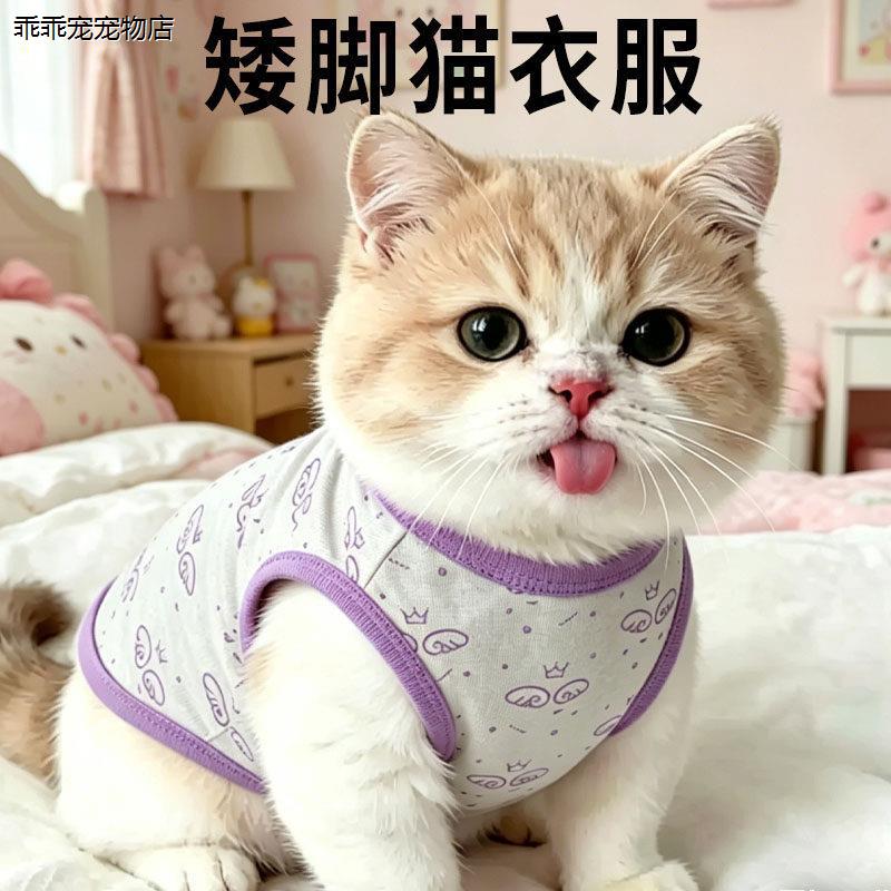 √矮脚猫衣服专用曼基康图片