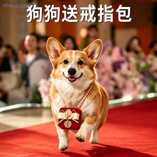 √狗狗送戒指包宠物婚礼挂颈戒指盒大中小型犬喜庆结婚专用饰品收