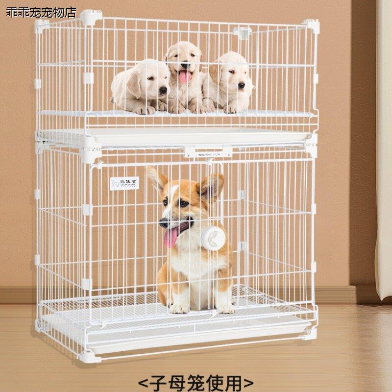 正品亮佳洁艾力斯纳米DIY