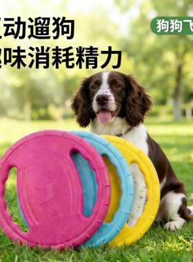 √史宾格狗狗飞盘训狗专