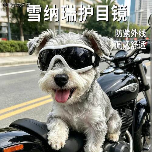 √雪纳瑞护目镜道具配饰