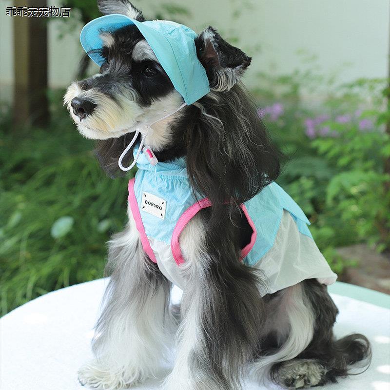 √雪纳瑞专用狗狗夏天防