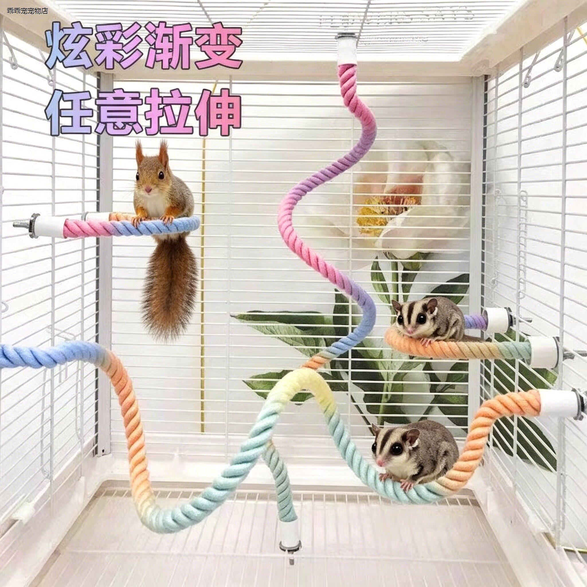 √松鼠攀爬玩具花枝悬挂图片