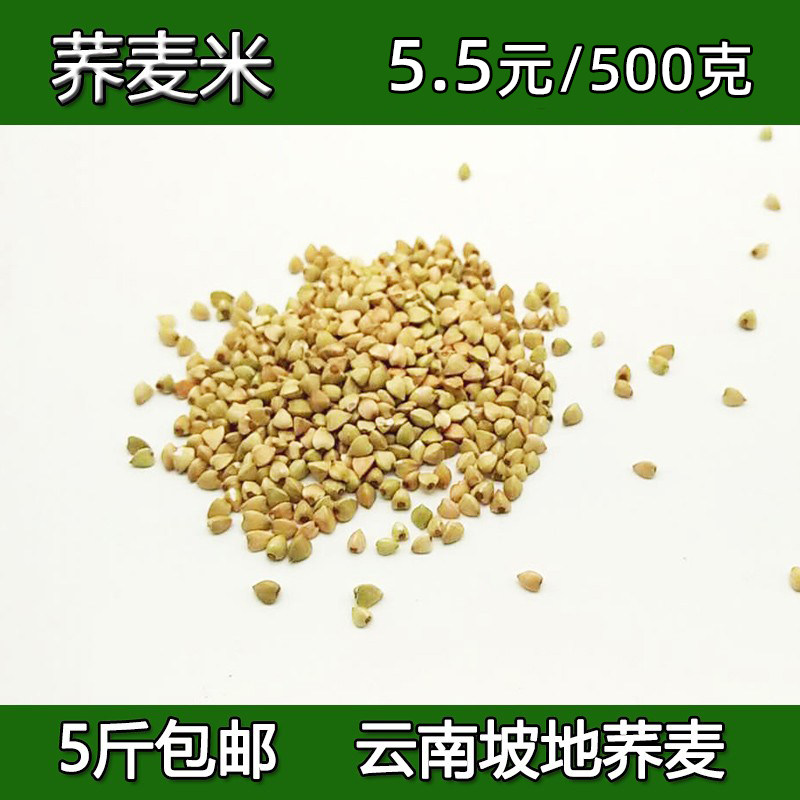 甜荞米 云南荞麦三角荞籽荞麦仁甜荞仁三角荞米农家五谷杂粮500克