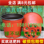 育苗盆 双色盆 摔不坏 花盆花盆花盆 塑料花盆 包邮 双色花盆