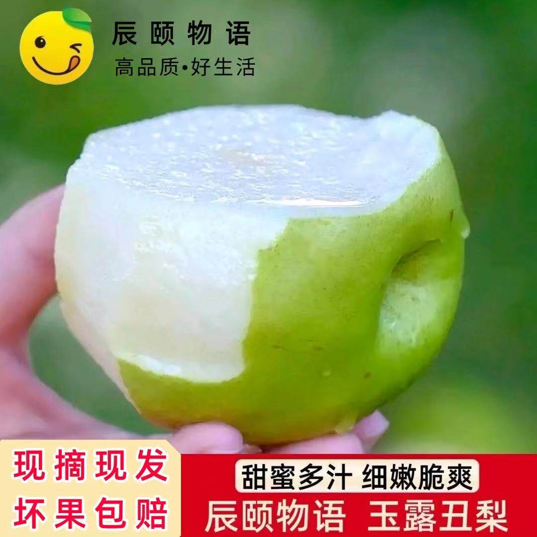 辰颐物语玉露丑梨新鲜时令水果脆甜多汁青皮翠冠梨蜜梨子现摘现发