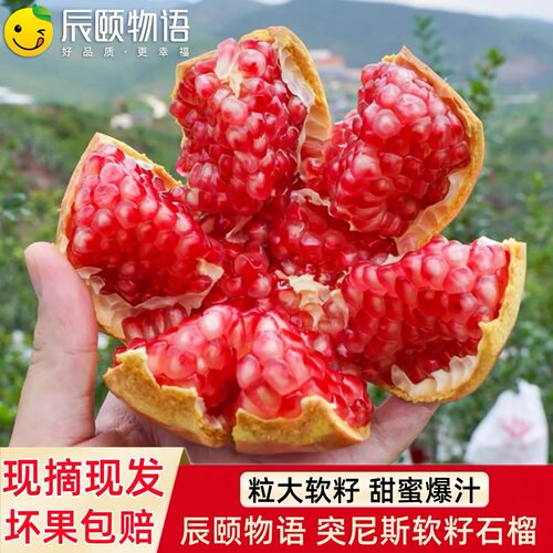辰颐物语四川突尼斯软籽石榴新鲜当季现摘现发鲜甜多汁孕妇水果
