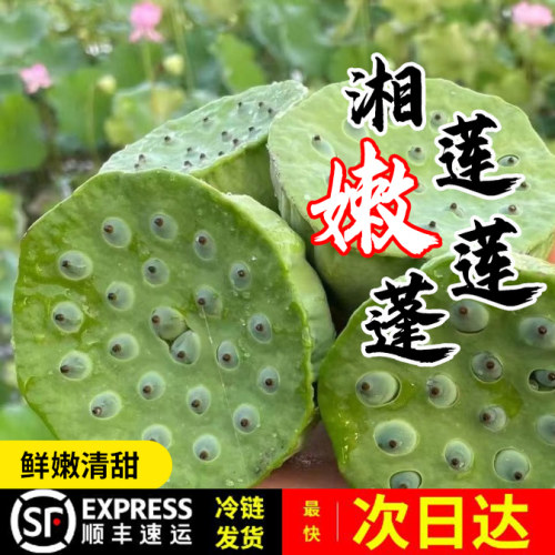 顺丰包邮莲蓬新鲜现摘莲子