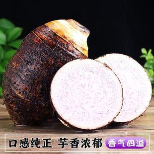 祁阳粉香芋子现挖槟榔芋头新鲜大小批发价当季蔬菜非广西荔浦产地