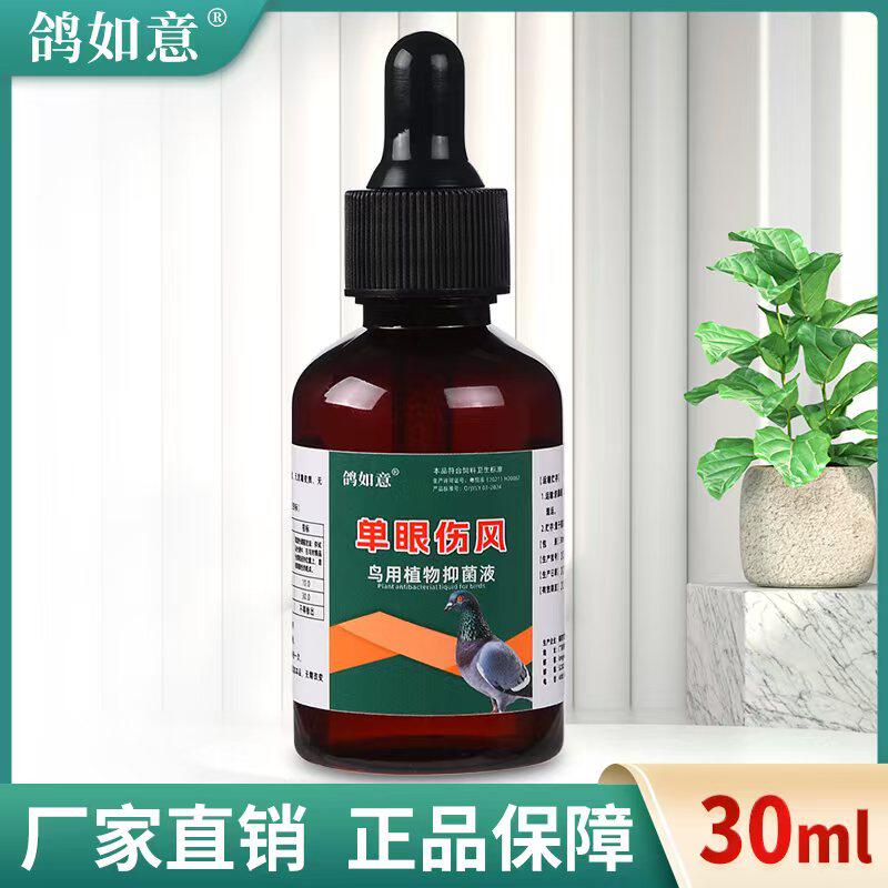 鸽如意赛鸽鸽用单眼伤风肿流泪滴胀眼液赛信鸽鹦鹉鸟信鸽衣原体