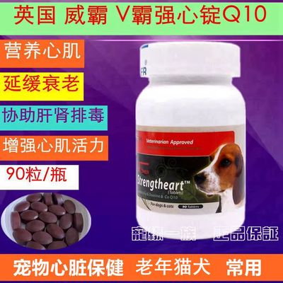 猫狗心脏保健Vpower营养心肌猫犬