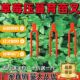 大棚草莓压蔓器藤蔓固定器压苗叉塑料固定叉子西瓜压蔓器育苗叉子