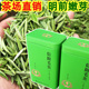茶叶绿茶信阳毛尖河南省新茶2025正宗信阳毛尖嫩芽明前罐装 茶叶