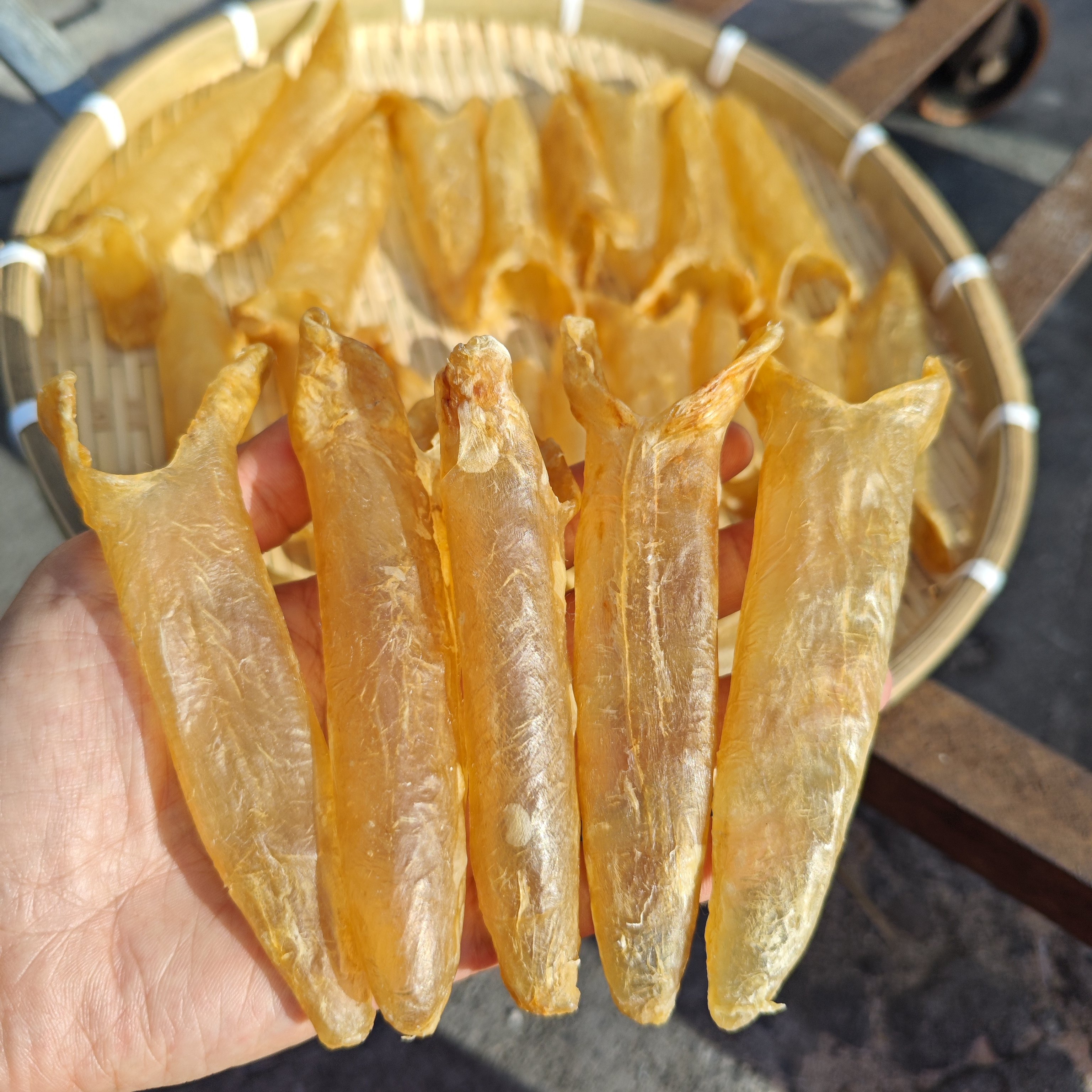 黄花胶广西北海渔民自晒海鱼胶黄花筒鱼肚花胶水产干货