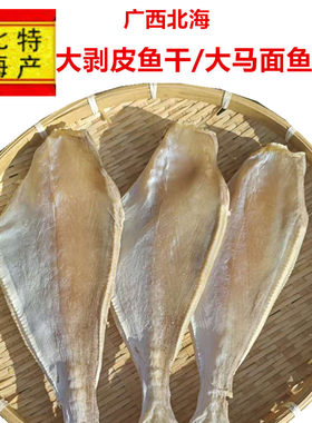广西北海渔民自晒大剥皮鱼马面鱼