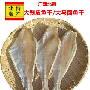 广西北海渔民自晒大剥皮鱼马面鱼