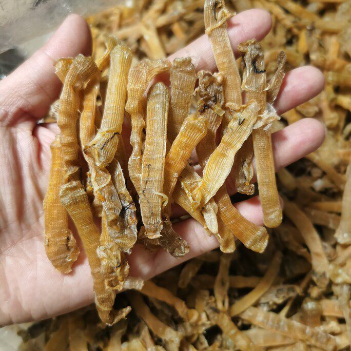 广西北海小沙虫干煮粥炖汤干货