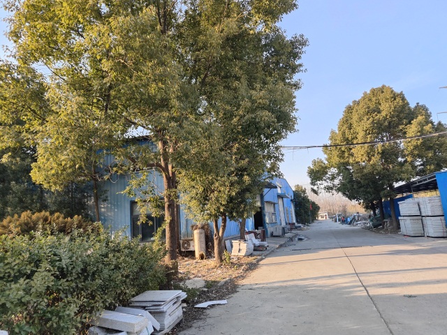 7月21日信阳房地产（息县字第018541号、018542号、018543号）及地上附属物网络拍卖公告