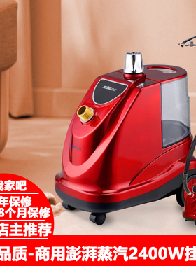 服装店商用2400W澎湃大蒸汽挂烫机3.5升容量窗帘双锅炉加热除皱菌