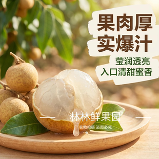 【空运直达】广东高州龙眼新鲜一级石硖龙眼5斤现摘现发储良高州