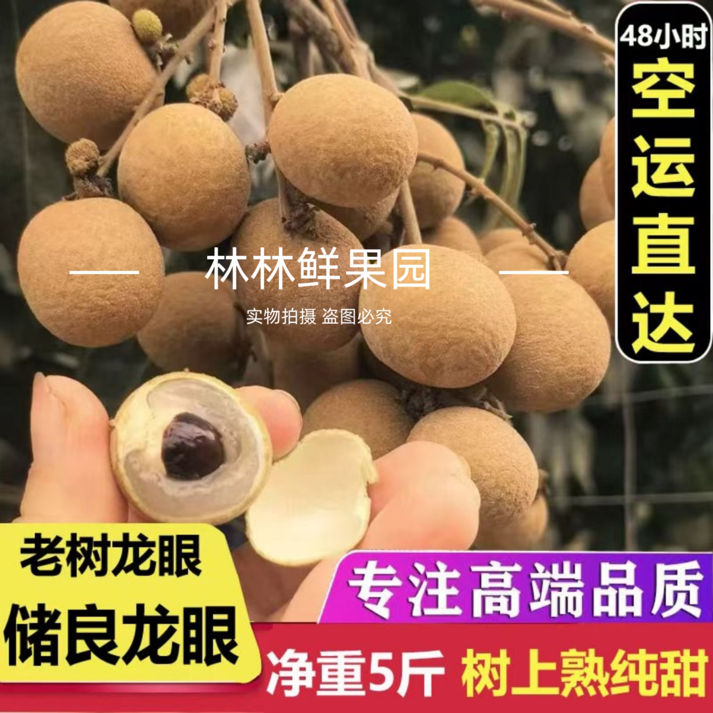 【空运直达】广东高州龙眼新鲜一级石硖龙眼5斤现摘现发储良高州