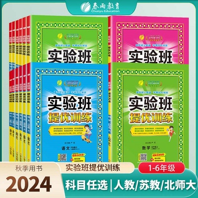 实验班提优训练大考卷