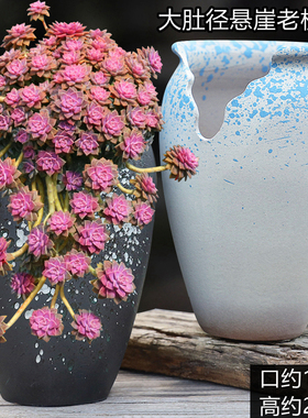 创意大缺口多肉花盆陶瓷阿伦培悬崖老桩紫砂透气粗陶高盆清仓特价