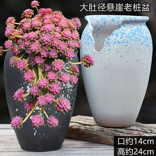 创意大缺口多肉花盆陶瓷阿伦培悬崖老桩紫砂透气粗陶高盆清仓特价