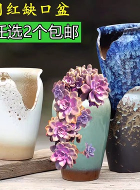 多肉缺口花盆家用中号切口盆悬崖老桩透气创意紫乐陶瓷特价清仓71