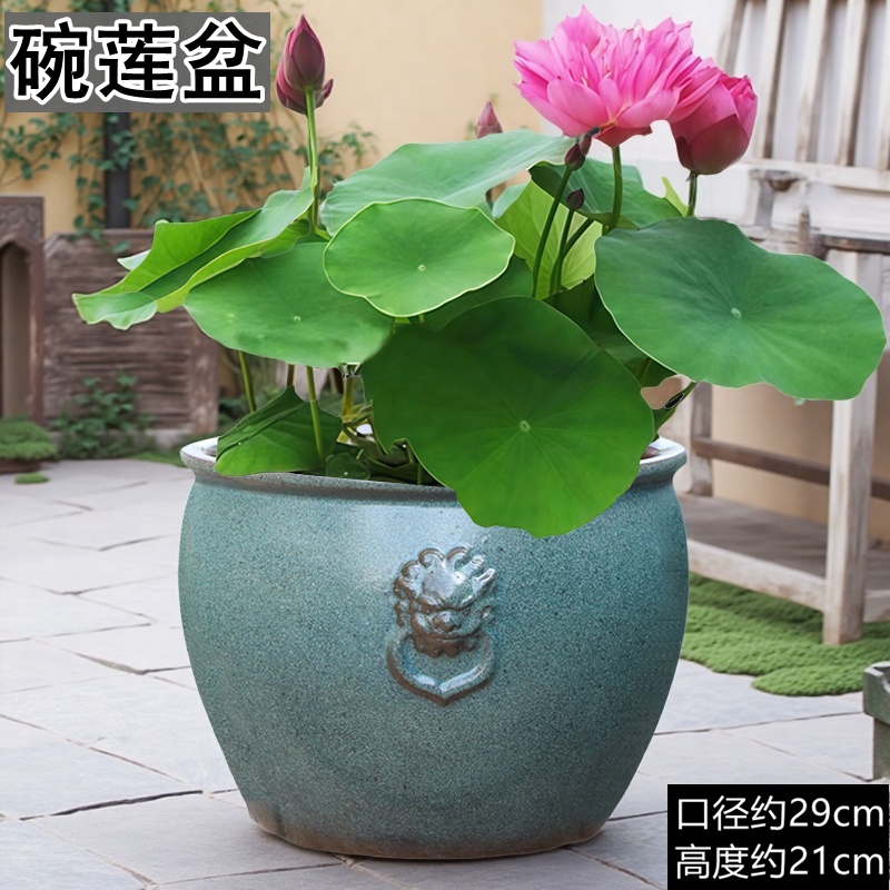 大口径水培无孔花盆陶瓷碗莲睡莲专用盆特大号莲花一叶莲陶盆特价