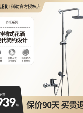 科勒淋浴花洒套装8寸头顶大喷头花洒R75517T-4-CP齐悦双花洒淋浴