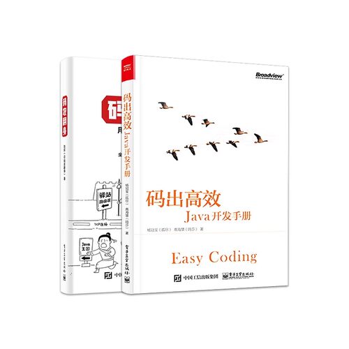 正版全2册 码出高效Java开发手册 码农翻身用故事给技术加点料 电子工业 JAVA编程 开发教程 开发手册书籍