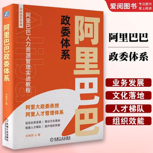正版阿里巴巴政委体系 许林芳 机械工业出版社 阿里巴巴人力资源管理实战教程 HR 组织架构 人才画像 业务赋能 文化落地 八大工具