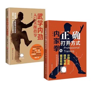 北京科学技术出版 社 内家拳 正版 武学内劲入门实操指导 全2册 正确打开方式 教程书籍 内家功夫探索