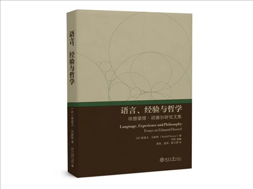 正版语言 经验与哲学 埃德蒙德胡塞尔研究文集 鲁道夫 贝耐特 北京大学出版社 胡塞尔现象学研究12篇论文 当代哲学探索 教材书籍