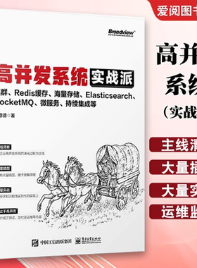 正版高并发系统实战派 集群 Redis缓存 海量存储 Elasticsearch RocketMQ 微服务 持续集成等 企业系统技术框架搭建技术书籍