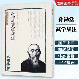 正版孙禄堂武学集注 太极拳学 孙禄堂 北京科学技术出版社 武学名家典籍丛书