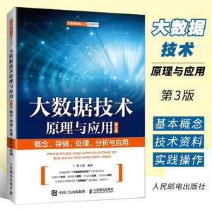 大数据技术原理与应用人民邮电