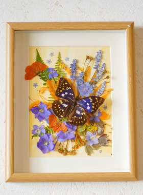 DIY压花蝴蝶标本森系咖啡店小众装饰画艺术摆件复古风餐厅壁画