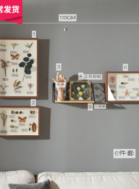 标本植物果实树叶昆虫壁画餐厅