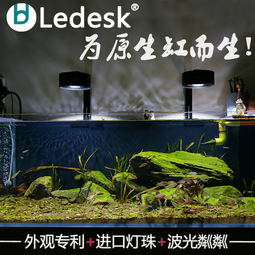 乐迪鱼缸爆藻灯筒灯原生溪流缸