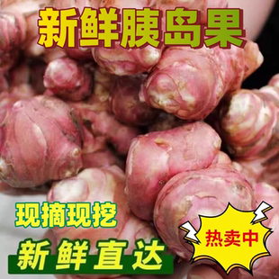 胰岛果5斤新鲜沙地现挖红皮洋姜东北地环腌菜菊芋姜不辣野生红果3