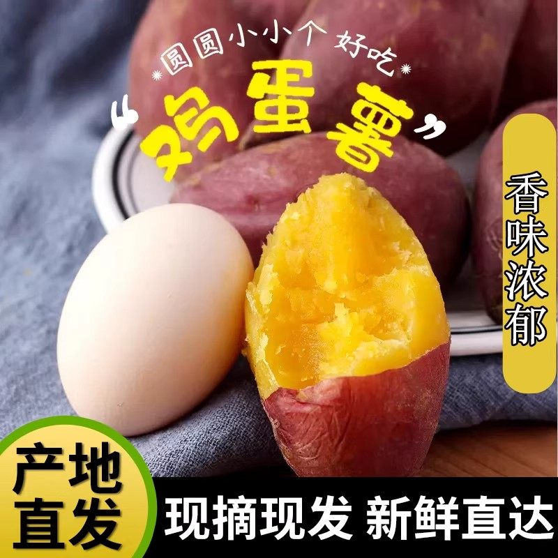 现挖板栗红薯蛋蛋果小香薯鸡蛋圆番薯产地直发农家自种地瓜粗粮薯,水产肉类/新鲜蔬果/熟食,番薯,淘宝优惠券,粉丝福利购,淘宝优惠卷